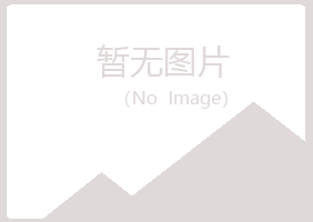 青岛崂山山柏媒体有限公司